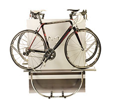 BS214: Panel Display for 2 Bikes