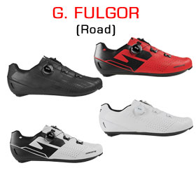 G Fulgor