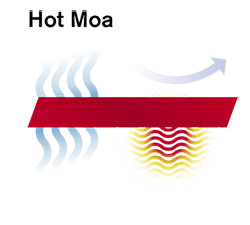 Hot Moa