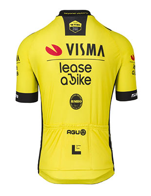 Team Visma - Lease a Bike