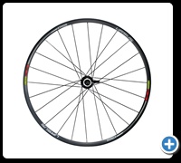 Disc Rear